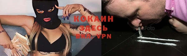 мяу мяу мука Осташков