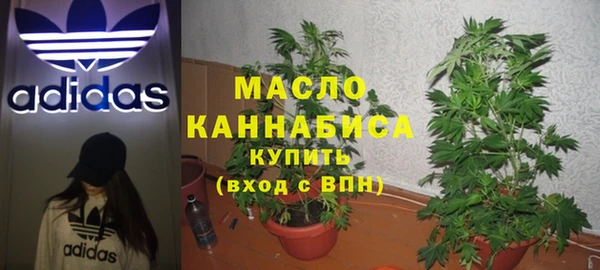 индика Переславль-Залесский