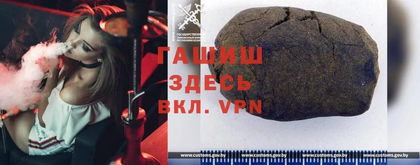 индика Переславль-Залесский